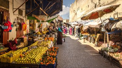 African Travel, Inc. Introduces New Client and Advisor Incentives