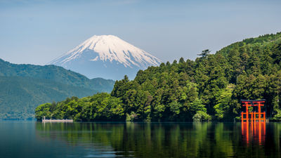 Fora has seen a 245% increase in bookings to Hakone, Japan.