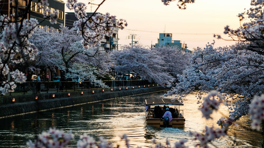 Kimkim connects advisors with local travel specialists in over 90 destinations.