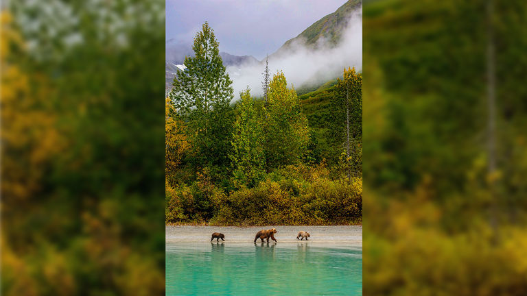 A boat ride inspired this photo of Alaskan bears and wilderness.