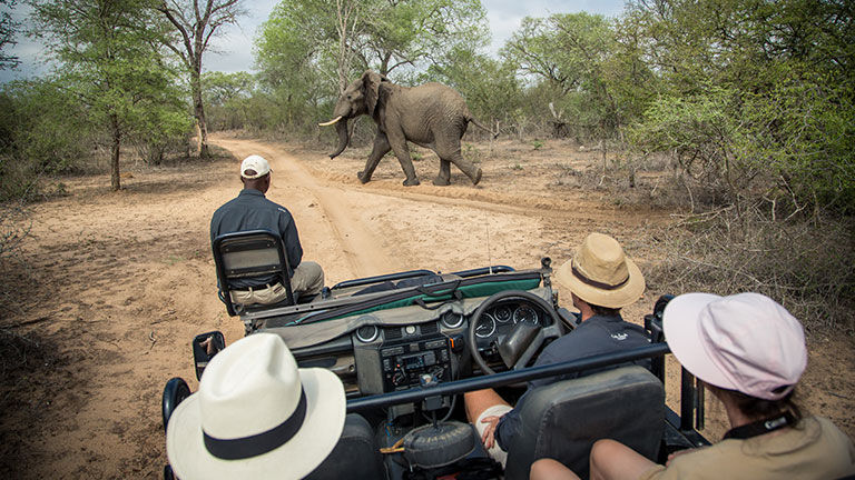 Abercrombie & Kent continues to operate tours in South Africa, and officials there say they’ve seen no drop in demand since the Omicron variant news broke.
