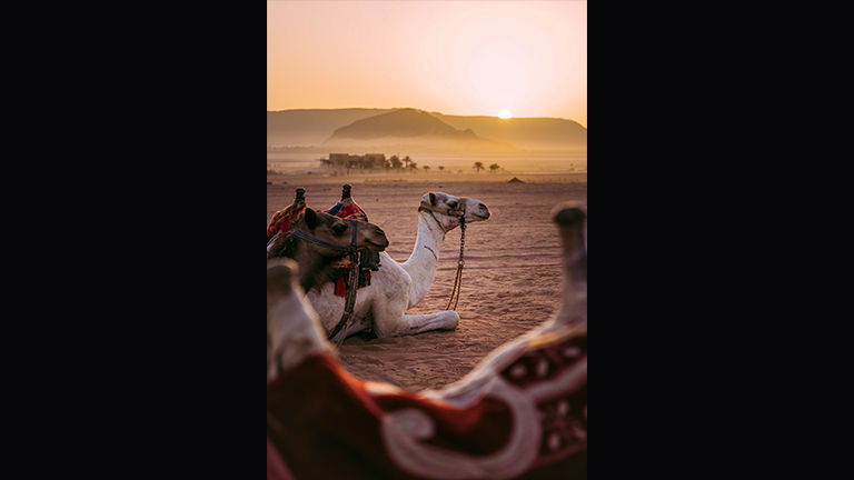 Last year’s first-place photo was taken in Wadi Rum, Jordan.