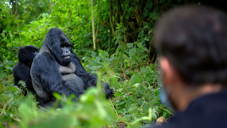 Solo travelers are taking more adventurous trips and visiting far-flung destinations.