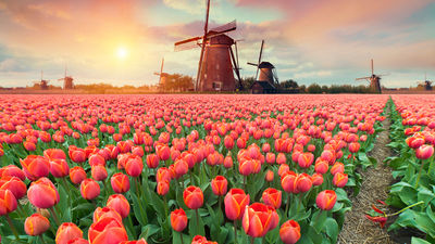 Spring Travel 2023: Here Are the Most Popular Destinations and Hottest Trends