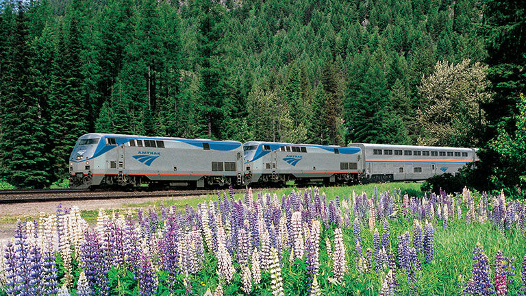 Amtrak, which expanded its pet program in March, is an alternative option for clients traveling with animals.