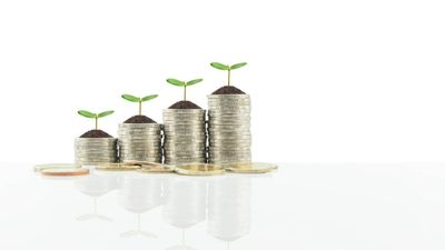 Travelers are concerned about sustainability, but cost and quality remain their top priorities.