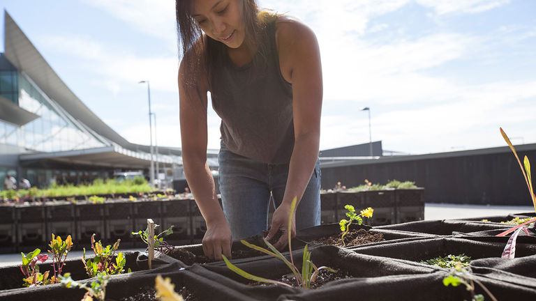 This rooftop farm, a partnership between JetBlue and JFK airport, composts leftovers from select airport restaurants and donates harvests to food pantries.