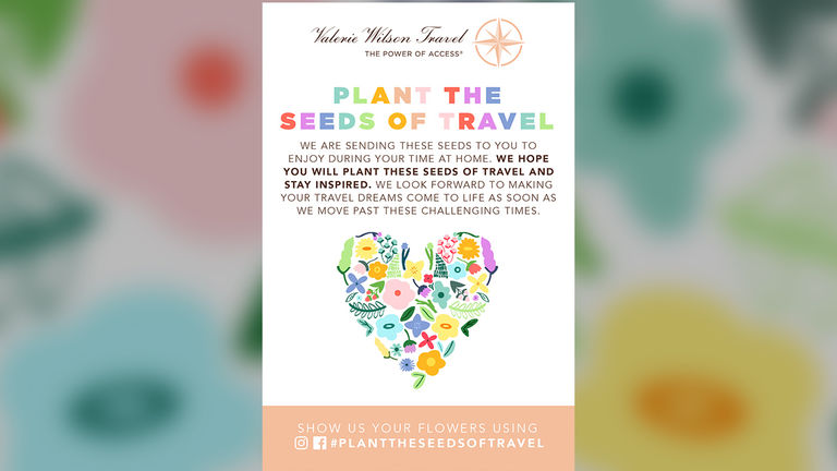Valerie Wilson Travel is now sending wildflower seeds to clients, thanks to Siegal's idea.