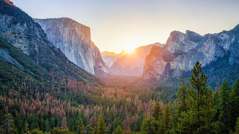 National parks, such as Yosemite, will see increased interest.
