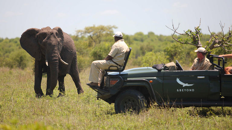 AndBeyond is dedicated to wildlife preservation.