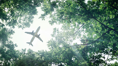 A new service gives travelers a way to help with carbon removal.