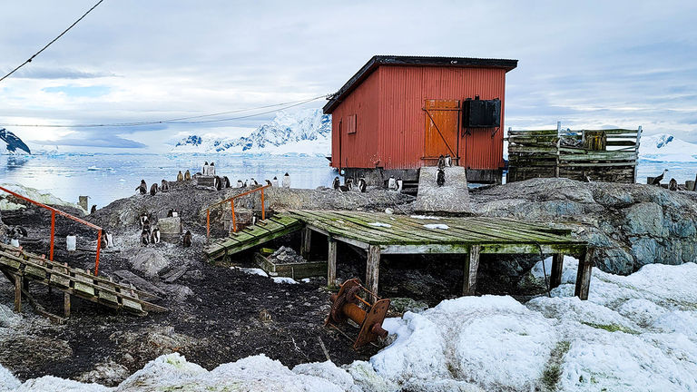 Penguins walking around a research center in Antarctica