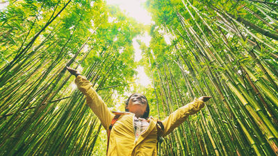 Virtuoso reports that travelers are willing to travel more sustainably.