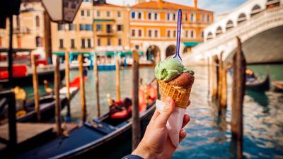Americans are planning to take four trips next year.