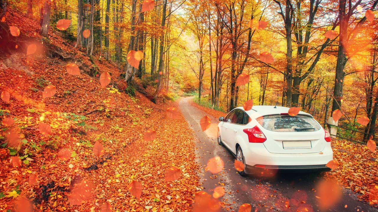 covidtravelholidays