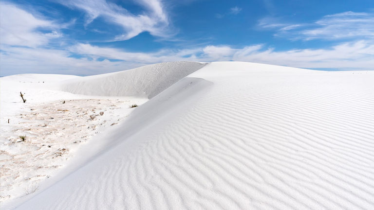 whitesandscovidclose