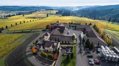 As part of the Meaningful Travel Summit, travel advisors can visit King Estate Winery.