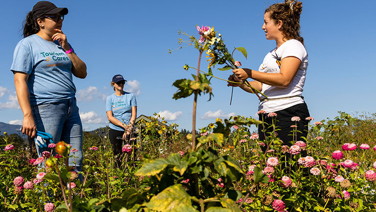 Attendees participated in regenerative agricultural projects as part of Experience Day.