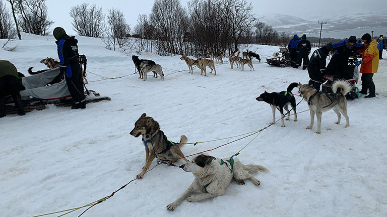 A dog-sledding excursion demonstrated how a shorter winter season puts local businesses at risk.