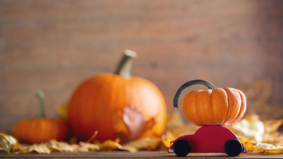 AAA expects 48.3 million people to travel by car this Thanksgiving.