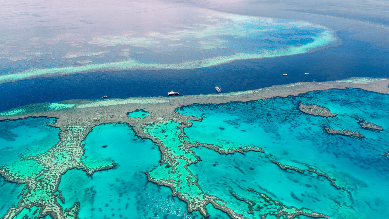 The Great Barrier Reef is among the sites listed as critically threatened on the report.