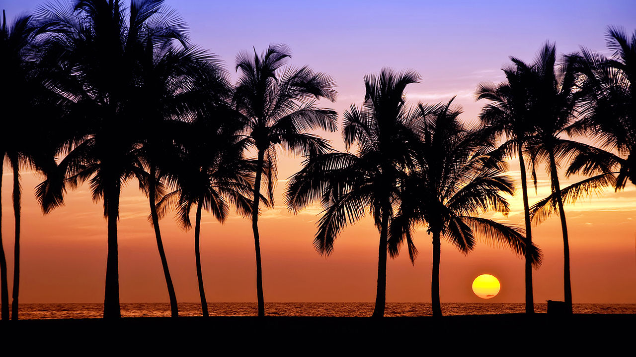Hawaii Sees High Visitor Satisfaction Results