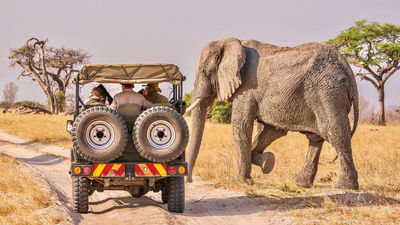 Mantis, an eco-conscious brand under Accor Group that operates safari lodges in southern Africa, is the first recipient of the certification.