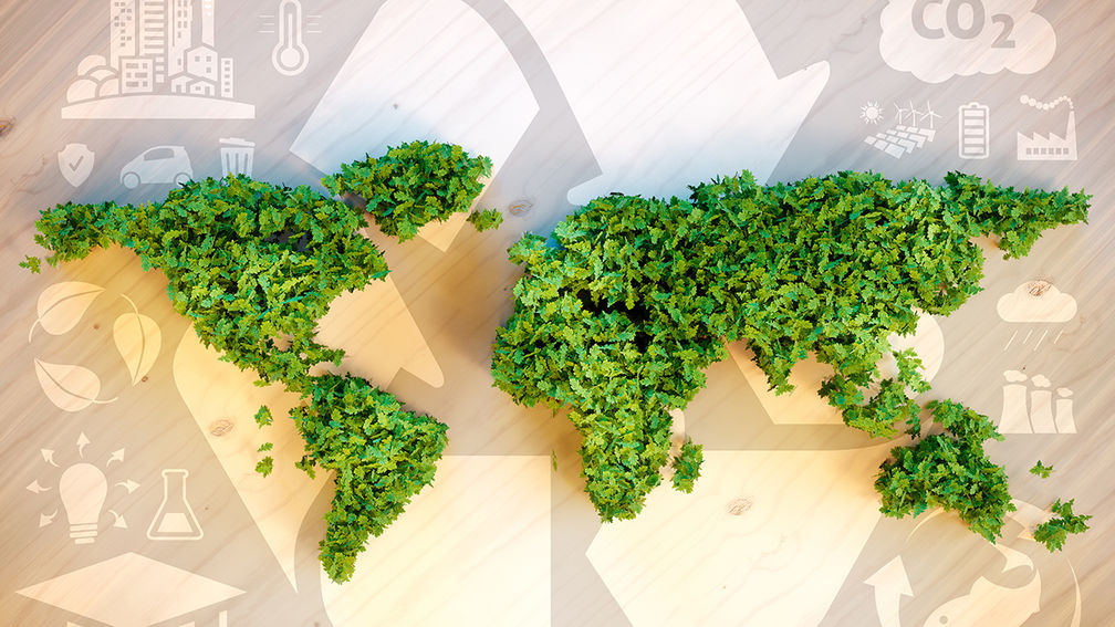 Wind turbines in the rape seed field