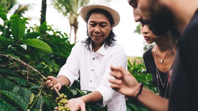 sustainabletravelinterest