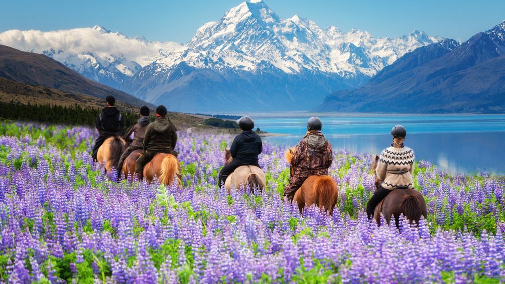 Avanti New Zealand