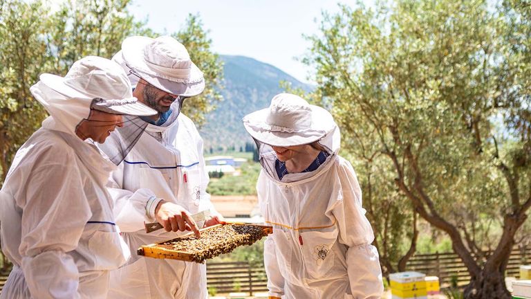 TTC_ResponsibleTravel_Guests Beekeeping at Moka Honey MTM_1366