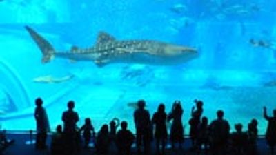 Fave Five Travel Excursions of 2011, Part V
