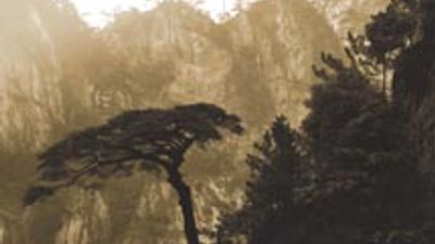 Daming Mountain: Resort Sanctuary in the Clouds