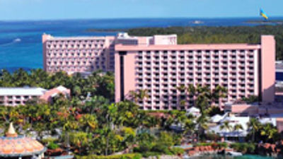 Caribbean Buzz