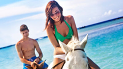 Caribbean Buzz & News