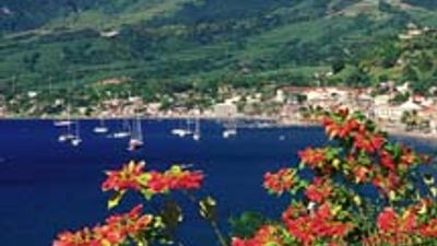 Unique Martinique