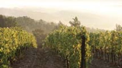 Tuscan Castle Turns Boutique Hotel