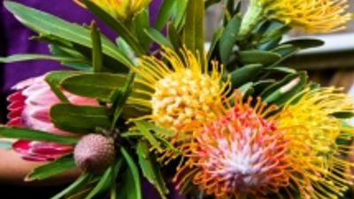 Fave Five Hawaii Souvenirs