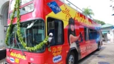 Aloha Bus Takes Oahu Sightseeing Tours to New Heights