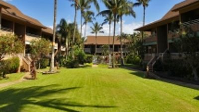 Extra Commissions with Sunny Maui Condos