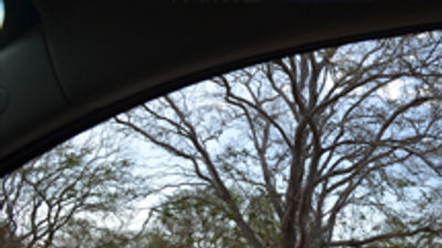 Driving Hawaii Tips