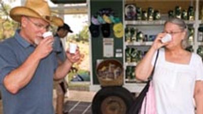 Kona Coffee Tours
