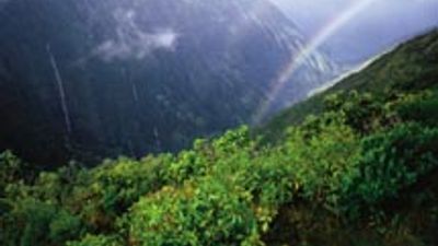 Mellow Molokai Hotels