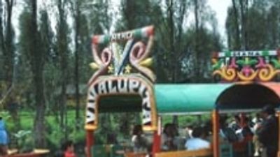 At Leisure in Mexico City