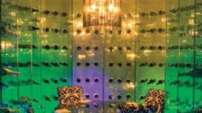 Gastronomy Takes Center Stage