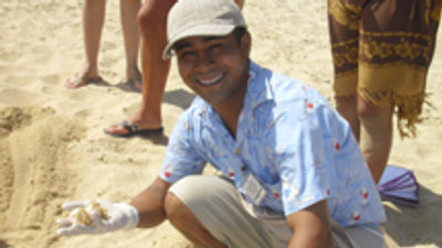 Los Cabos Hotels Help Protect Sea Turtles