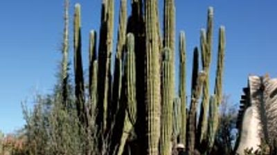 Tempe Ideal Itinerary