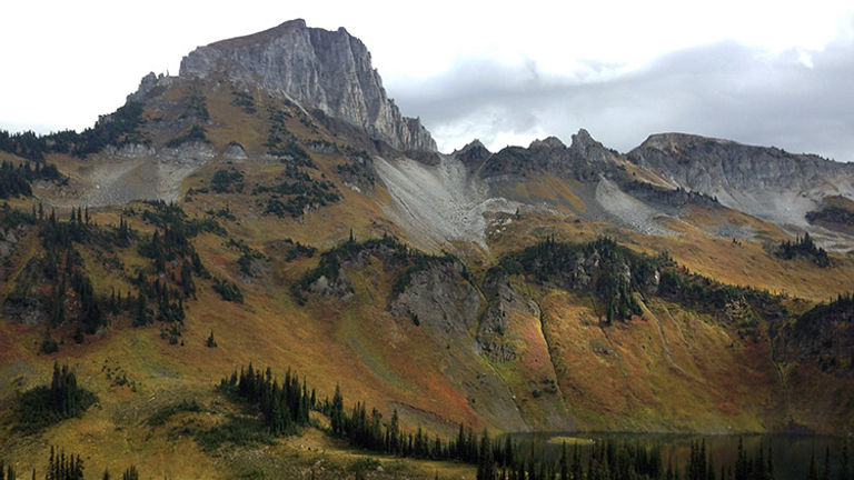 From the helicopter, we spied skinny pines, craggy rocks and alpine lakes. // © 2016 Michelle Juergen