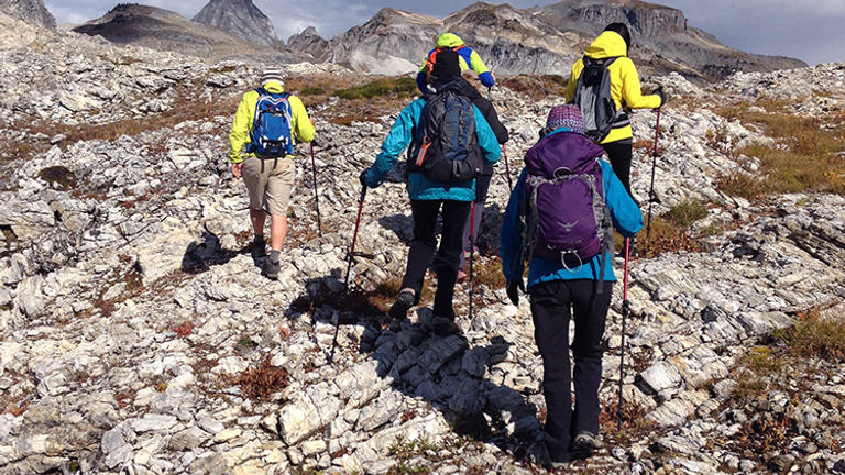 The Selkirk and Monashee mountains have an abundance of sedimentary and metamorphic rock. // © 2016 Michelle Juergen