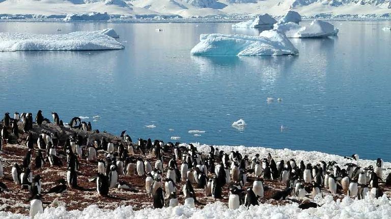 Antarctica Bucket List 